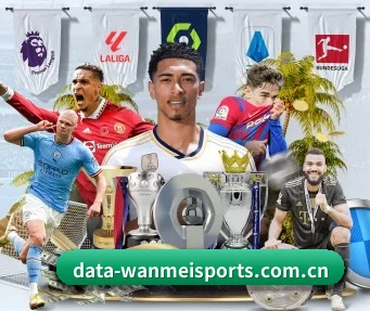 完美体育登录入口 APP（WMsports）